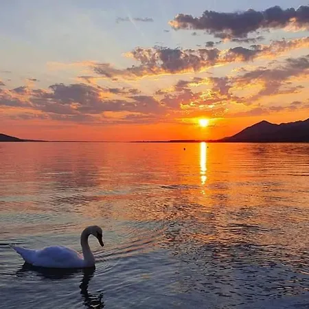 Matek Family & Apartament